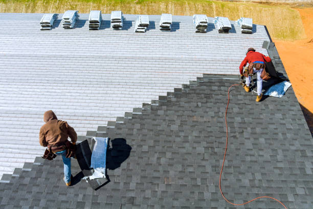 Best Roof Gutter Cleaning  in Vienna, WV